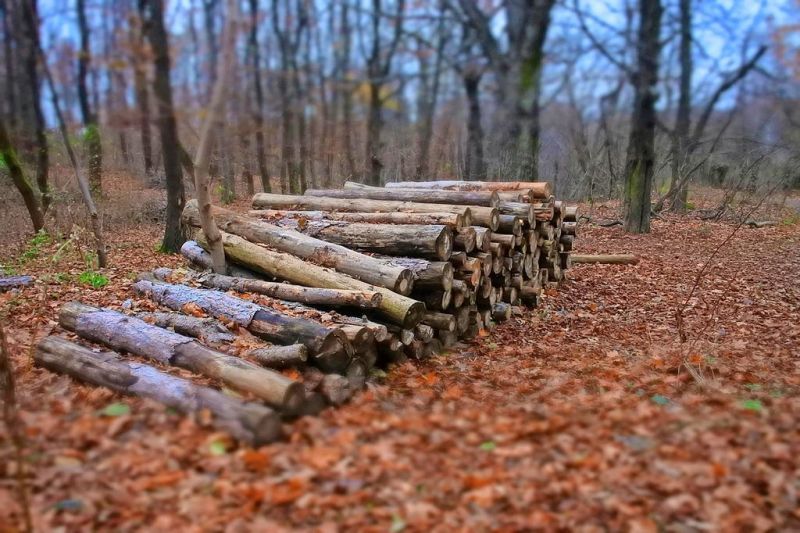 County firewood list to be updated