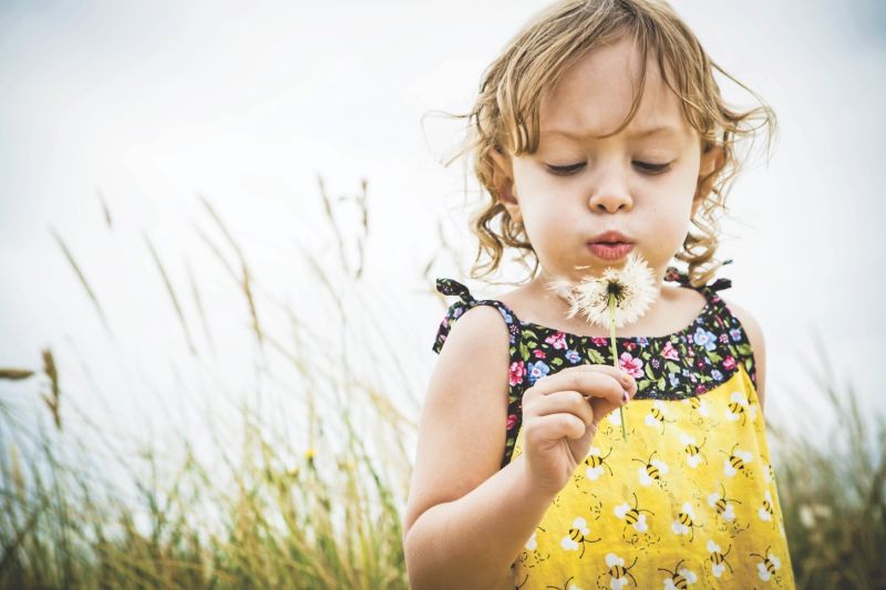 Dandelion May Festival is May 6-7