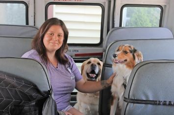 Dogs are rocking and rolling on Dover day care bus