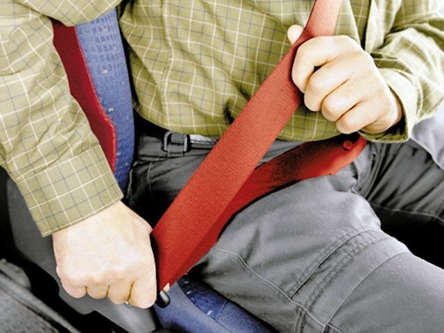 Dont turn Thanksgiving into a tragedy - buckle up