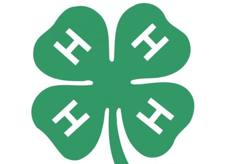 Doughty Valley 4-H Club elects officers