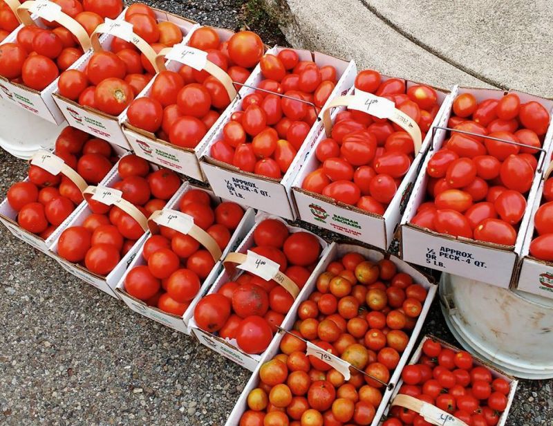 Downtown Wooster Farmers' Market celebrates 20 years