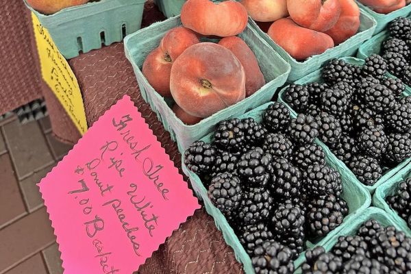 Downtown Wooster Farmers Market opening soon