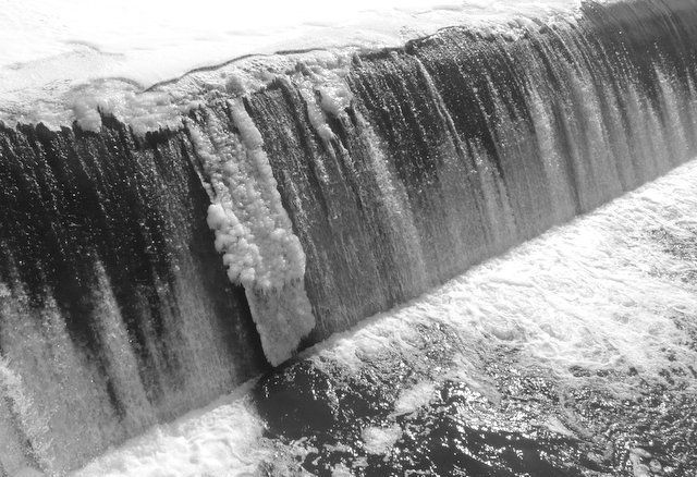 Ducks are still taking advantage of the open water on the Elkhart River in Goshen, Ind. this winter