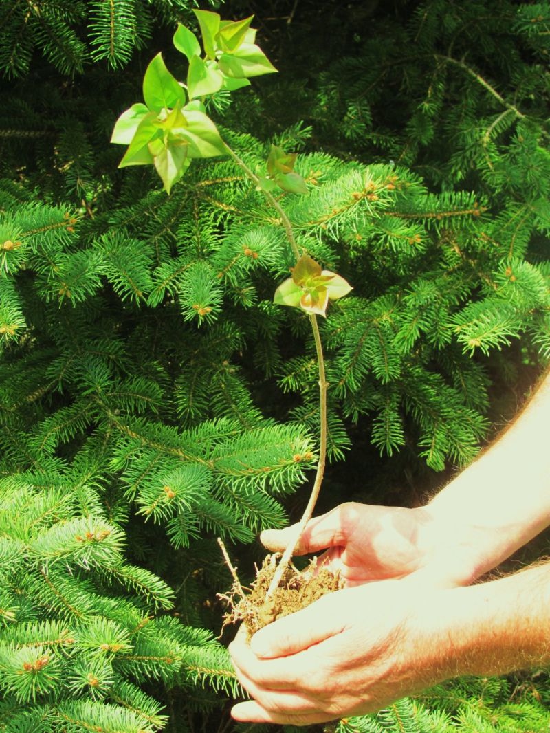 Earth Day scheduled for April 22, but should take place every day of the year