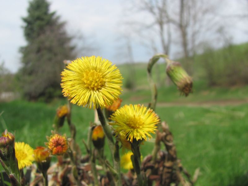Earth Day scheduled for April 22, but should take place every day of the year