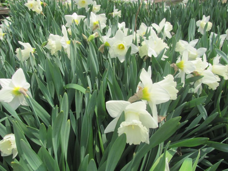 Earth Day scheduled for April 22, but should take place every day of the year