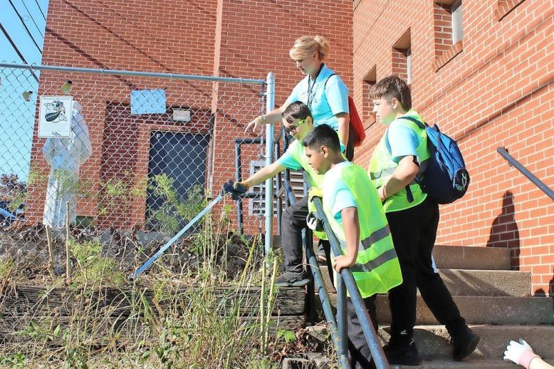 Environmental Club picks up Dover and helps insects and plants