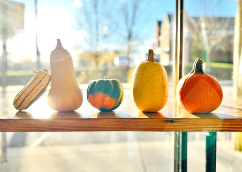 Versatile squash comes in many shapes and sizes
