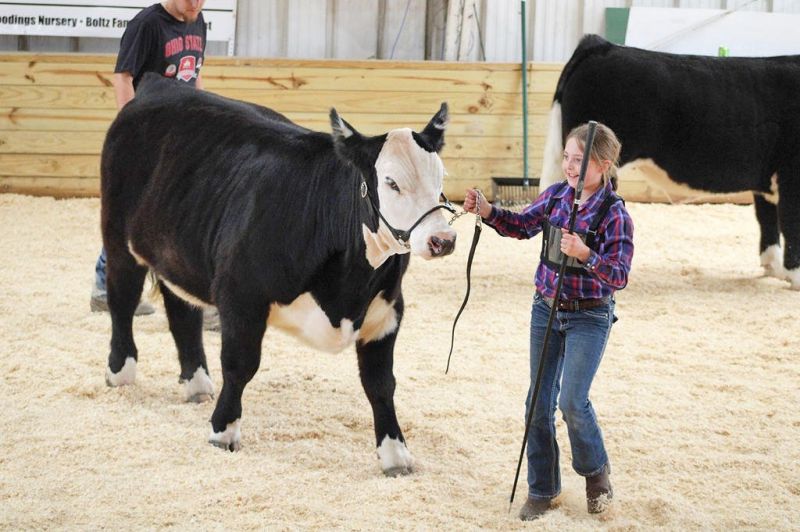 Events in memory of Neil Wise continue to help 4-H youth