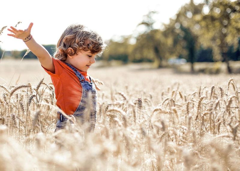 OSU Extension offers urban youth rural opportunities