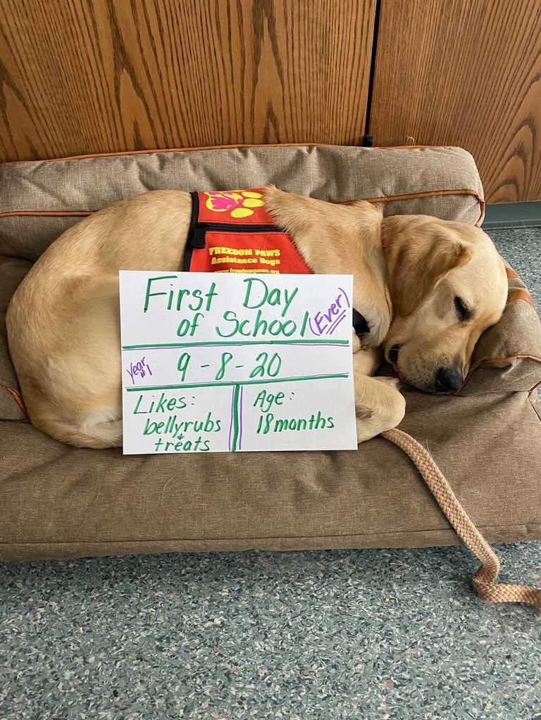 Facility dog brings comfort to students at Claymont