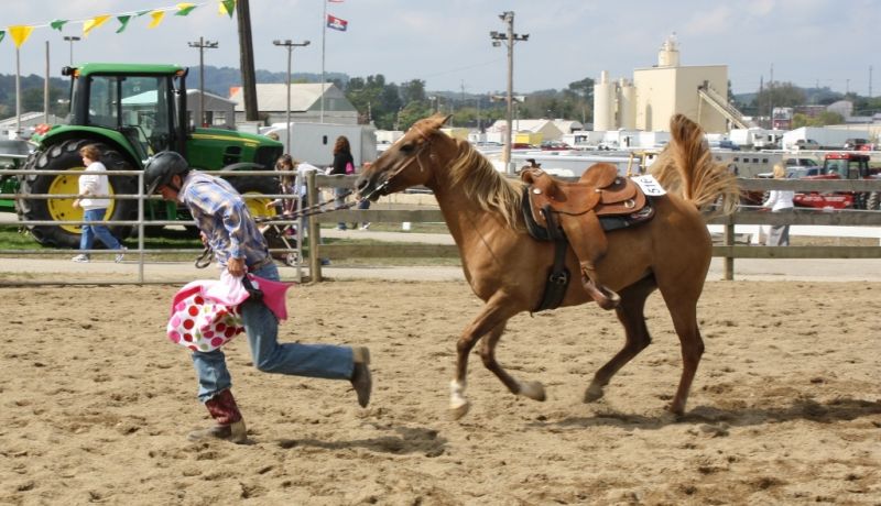 Fair Officials Pleased with 2011 Fair