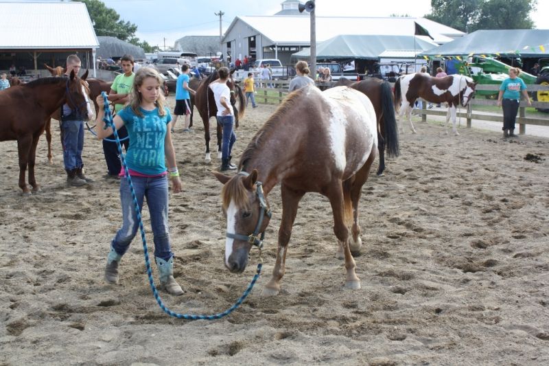 Fair Officials Pleased with 2011 Fair