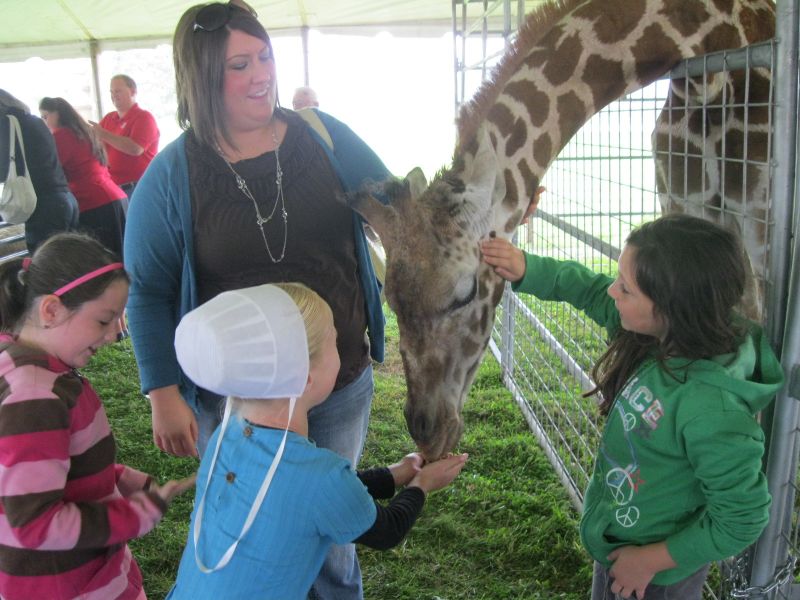 Fall fun at Walnut Creek's second annual fall festival