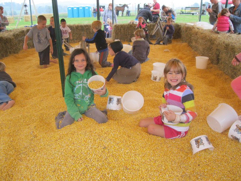 Fall fun at Walnut Creek's second annual fall festival