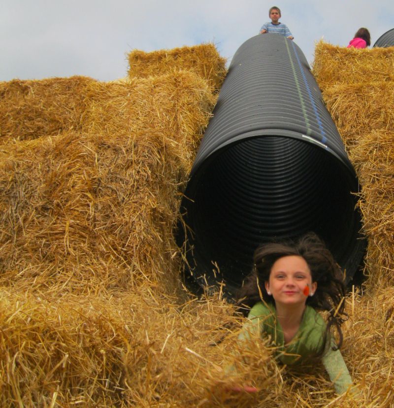 Fall fun at Walnut Creek's second annual fall festival