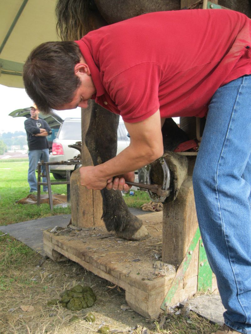 Fall fun at Walnut Creek's second annual fall festival