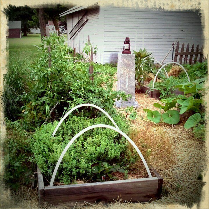 Fall is the best season in the garden