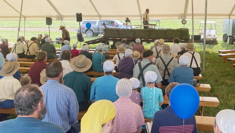 Family Farm Field Days all about community farming