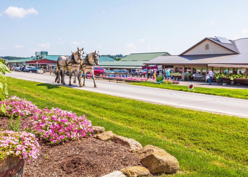 Family works together at Hershberger’s Farm and Bakery