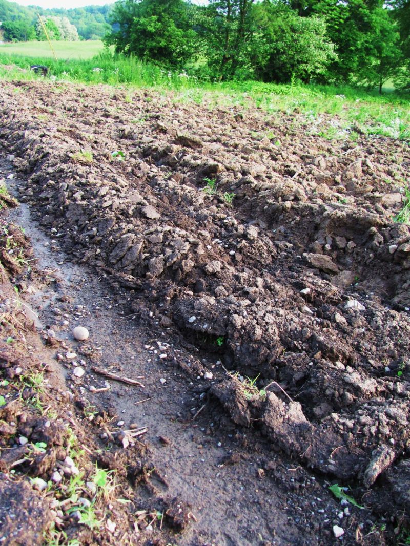 Farmers planting efforts hampered by unusually wet spring weather conditions