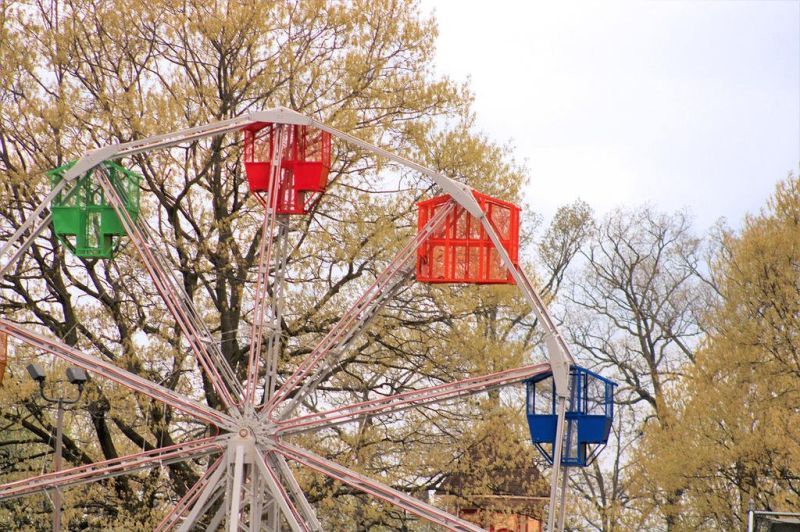 First Town Days plate to feature Ferris Wheel The Bargain Hunter