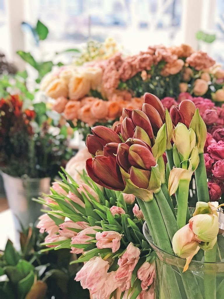 Flowers topic at Lunch and Learn