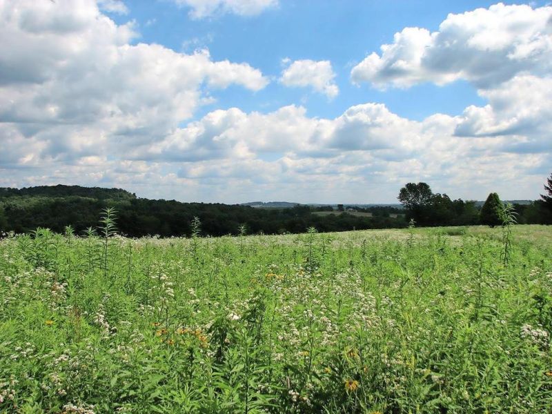 Foxfield Preserve to host natural burial discussion