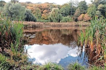 Free Wayne SWCD pond clinic is set for March 11 in Wooster