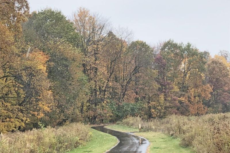 Friends of Wooster Memorial Park host foliage hike