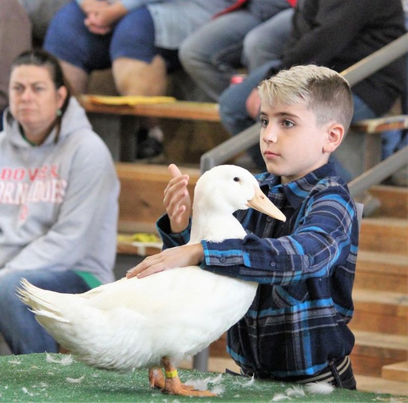 Full Tuscarawas County Fair on schedule for 2021