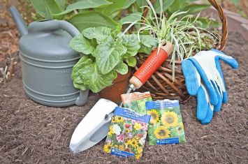 Gardening workshops offered