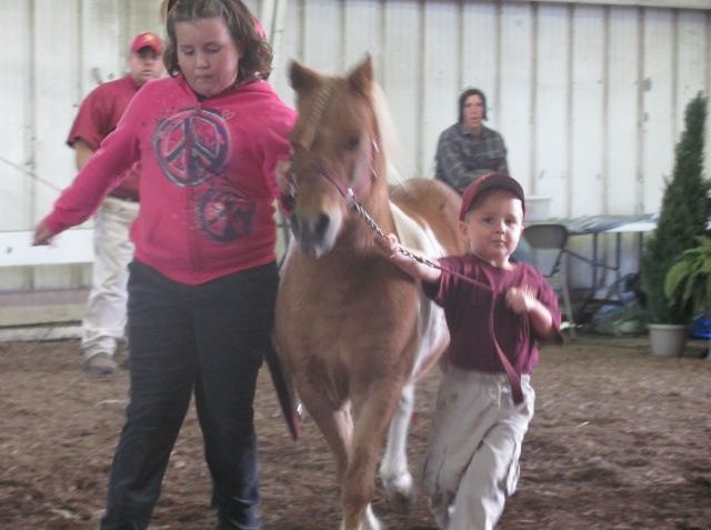 Gentle giants of the equine world participate in Tuscarawas County Fair