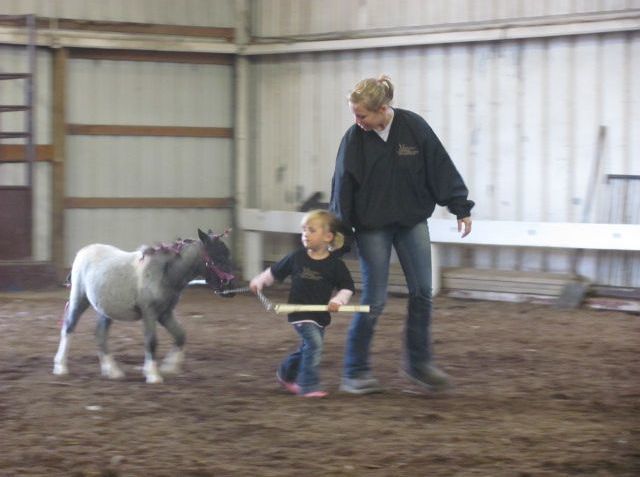 Gentle giants of the equine world participate in Tuscarawas County Fair