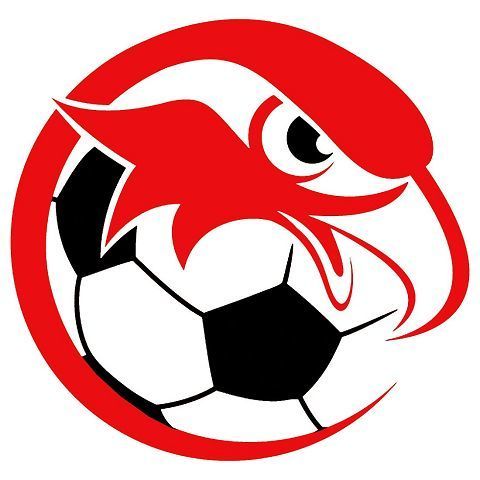 Getting the ball rolling; first Hiland boys soccer practice scheduled