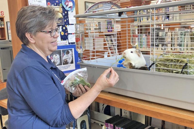 Gizmo and Gus make a connection with kids