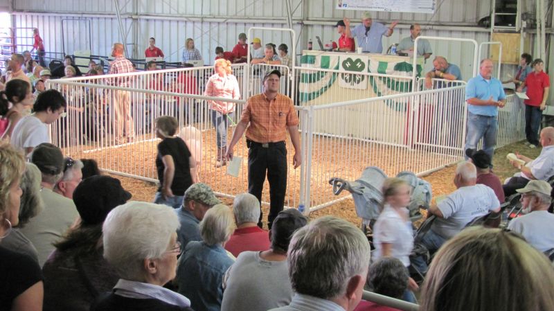 Going, going, gone! Junior Fair auctions set new records for the Tuscarawas County Fair