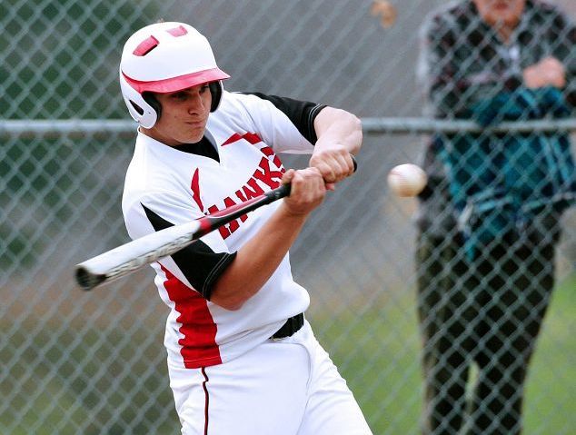 Hawks win a snoozer with 7-0 victory over Cardinals