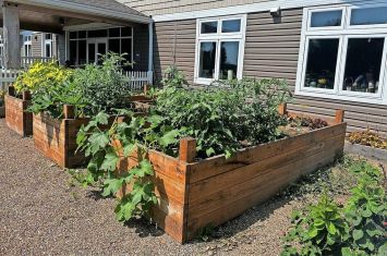 Healing happening among the garden rows at WRTC