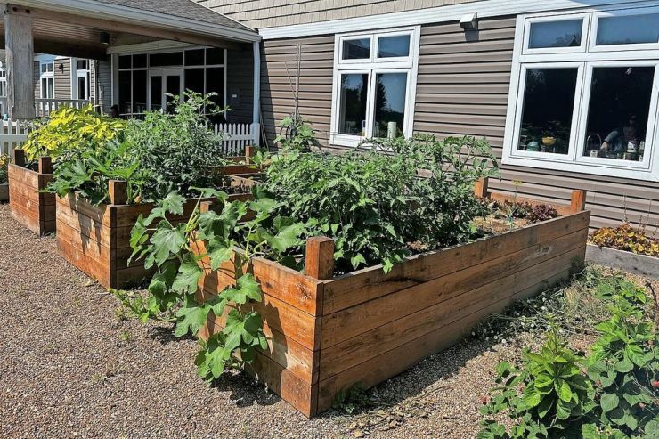 Healing happening among the garden rows at WRTC