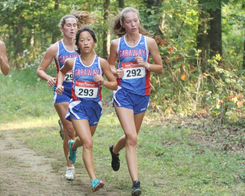 High school girls cross country team previews