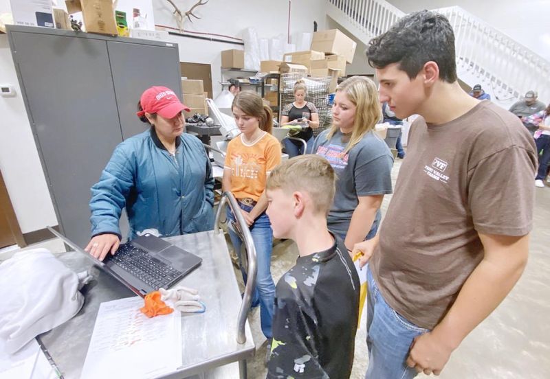 Holmes 4-H’ers go hog wild for chance at carcass show