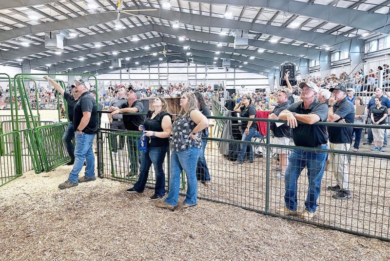 Holmes County Fair celebrates 100 years in style