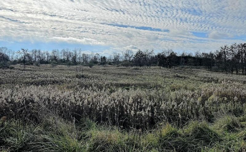 Holmes park district eager to unleash another natural beauty