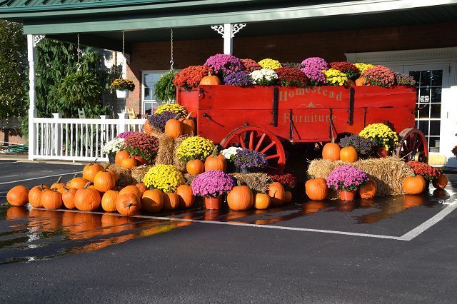 Homestead Furniture completes annual fall display