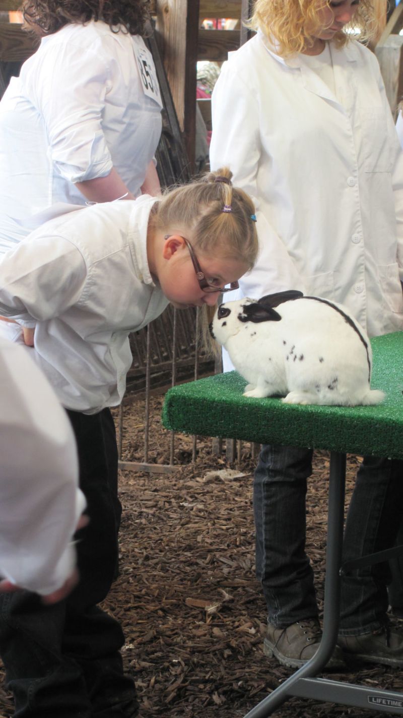 Hoppin great fun at Fair Rabbit Show