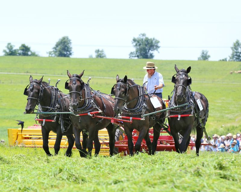 Horse Progress Days Returns to Ohio