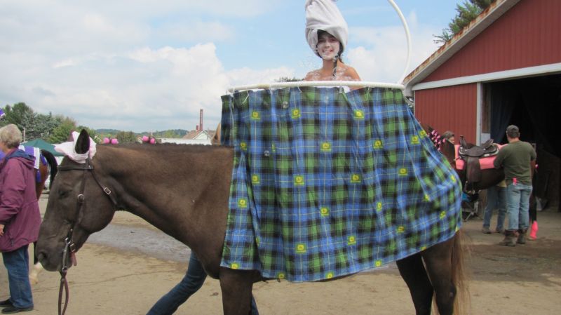 Horses, of courses!