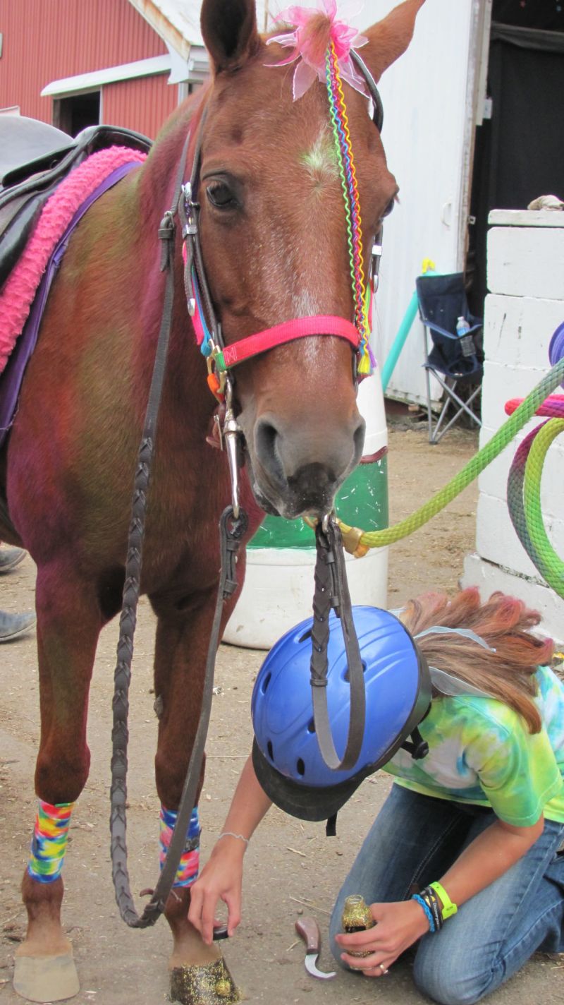Horses, of courses!